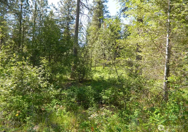 Photo 2 of Land for sale at 111 Tbd Murphy Ranch Rd, Tonasket, WA 98855 | MLS# NWM2503571 | Listing updated on 2026-09-21