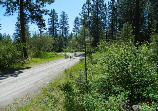 Photo 3 of Land for sale at 111 Tbd Murphy Ranch Rd, Tonasket, WA 98855 | MLS# NWM2503571 | Listing updated on 2026-09-21