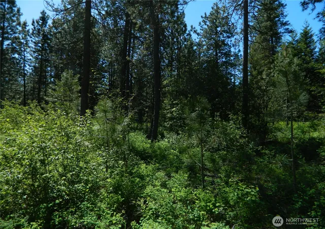 Photo 3 of Land for sale at 111 Tbd Murphy Ranch Rd, Tonasket, WA 98855 | MLS# NWM2503571 | Listing updated on 2026-09-21