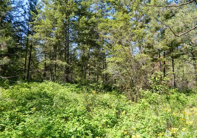 Photo 4 of Land for sale at 111 Tbd Murphy Ranch Rd, Tonasket, WA 98855 | MLS# NWM2503571 | Listing updated on 2026-09-21