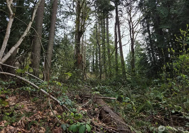 Photo 3 of Land for sale at 100 210th Avenue NE, Sammamish, WA 98074 | MLS# NWM2503752 | Listing updated on 2026-09-21
