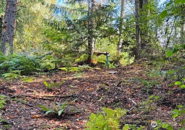 Photo 1 of Land for sale at 0 E Agate Rd, Shelton, WA 98584 | MLS# NWM2503773 | Listing updated on 2026-09-21