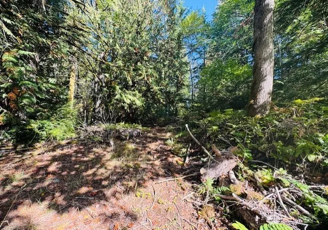 Photo 2 of Land for sale at 0 E Agate Rd, Shelton, WA 98584 | MLS# NWM2503773 | Listing updated on 2026-09-21