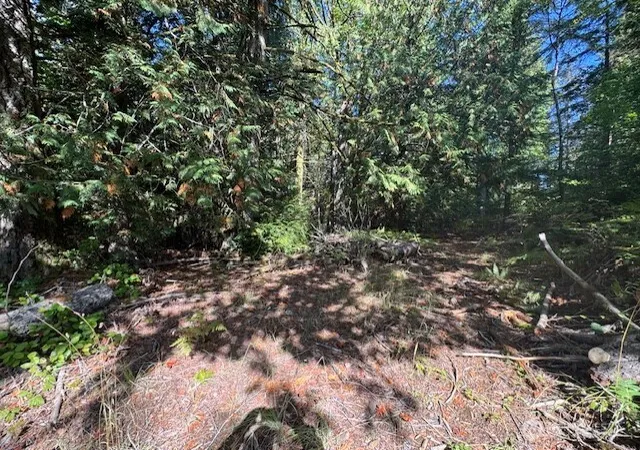Photo 3 of Land for sale at 0 E Agate Rd, Shelton, WA 98584 | MLS# NWM2503773 | Listing updated on 2026-09-21