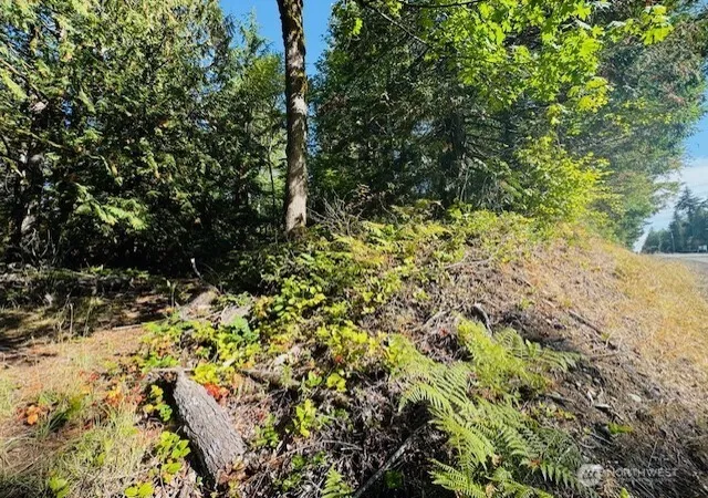 Photo 3 of Land for sale at 0 E Agate Rd, Shelton, WA 98584 | MLS# NWM2503773 | Listing updated on 2026-09-21