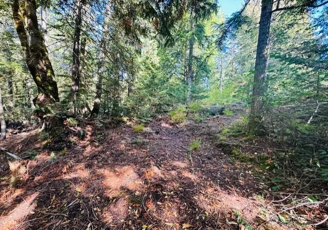 Photo 4 of Land for sale at 0 E Agate Rd, Shelton, WA 98584 | MLS# NWM2503773 | Listing updated on 2026-09-21