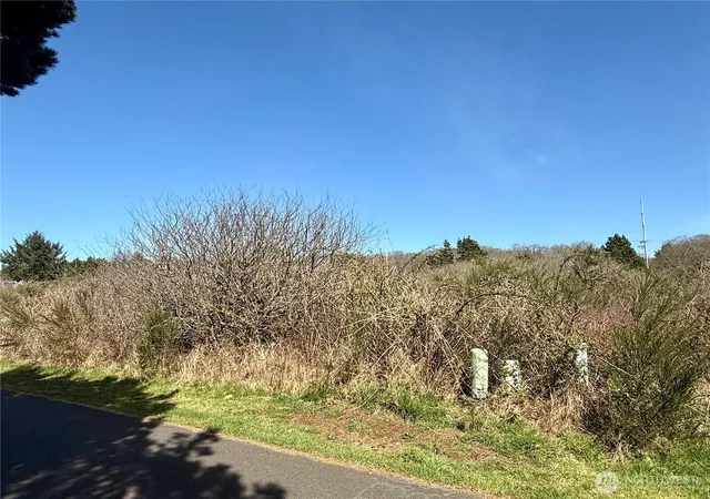 Photo 2 of Land for sale at 2 Xxx Francis Seamore Ln, Grayland, WA 98547 | MLS# NWM2503786 | Listing updated on 2026-09-21