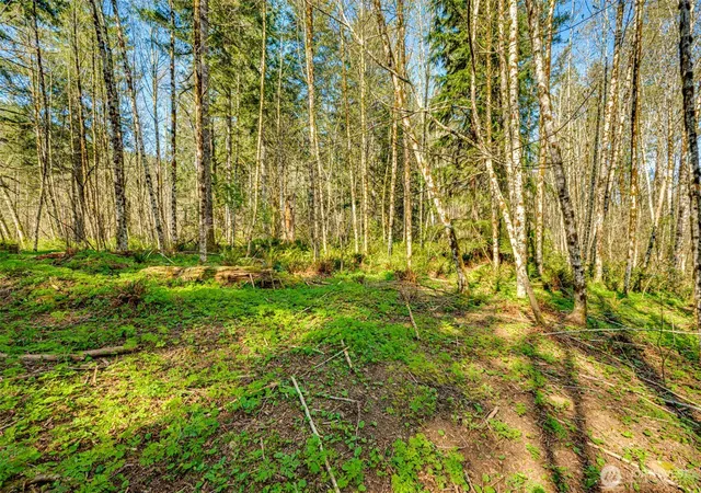 Photo 1 of Sale Pending at 0 Buncombe Holw Rd Ne, Woodland, WA 98674 | MLS# NWM2503830 | Listing updated on 2026-09-25
