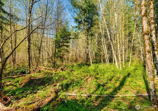 Photo 2 of Sale Pending at 0 Buncombe Holw Rd Ne, Woodland, WA 98674 | MLS# NWM2503830 | Listing updated on 2026-09-25