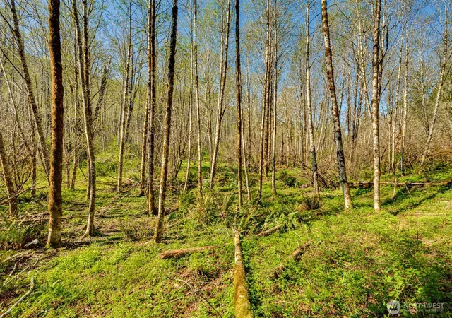 Photo 3 of Sale Pending at 0 Buncombe Holw Rd Ne, Woodland, WA 98674 | MLS# NWM2503830 | Listing updated on 2026-09-25