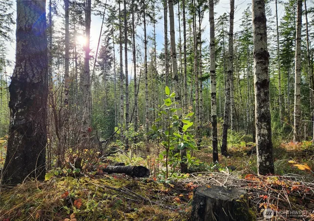 Photo 2 of Land for sale at 0 Rocky Brk Rd #Lot I, Brinnon, WA 98320 | MLS# NWM2503983 | Listing updated on 2026-09-21