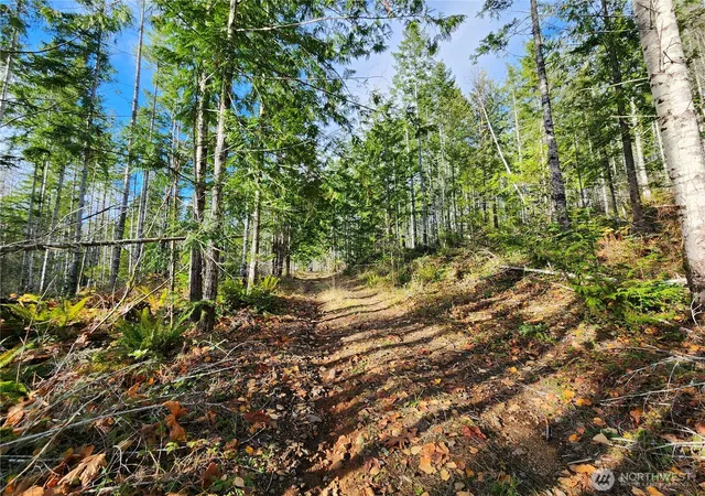 Photo 3 of Land for sale at 0 Rocky Brk Rd #Lot I, Brinnon, WA 98320 | MLS# NWM2503983 | Listing updated on 2026-09-21