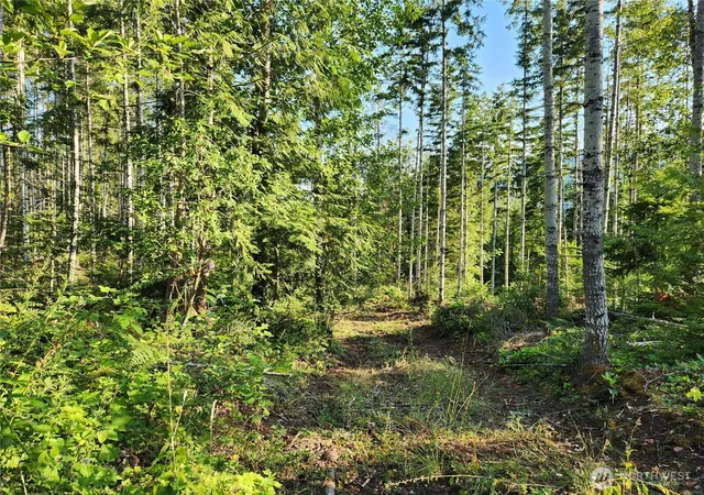 Photo 3 of Land for sale at 0 Rocky Brk Rd #Lot I, Brinnon, WA 98320 | MLS# NWM2503983 | Listing updated on 2026-09-21