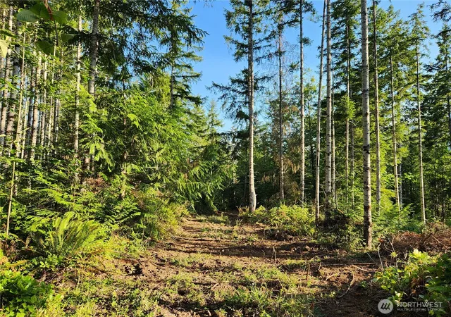 Photo 4 of Land for sale at 0 Rocky Brk Rd #Lot I, Brinnon, WA 98320 | MLS# NWM2503983 | Listing updated on 2026-09-21