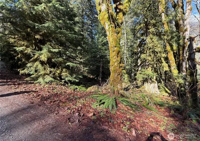 Photo 2 of Land for sale at 0 High Ridge Dr, Marblemount, WA 98267 | MLS# NWM2504151 | Listing updated on 2026-09-21