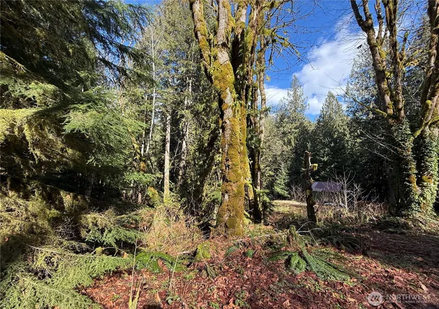 Photo 3 of Land for sale at 0 High Ridge Dr, Marblemount, WA 98267 | MLS# NWM2504151 | Listing updated on 2026-09-21