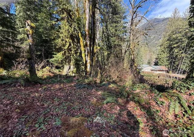 Photo 3 of Land for sale at 0 High Ridge Dr, Marblemount, WA 98267 | MLS# NWM2504151 | Listing updated on 2026-09-21