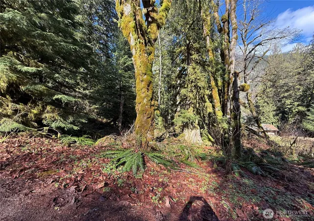 Photo 4 of Land for sale at 0 High Ridge Dr, Marblemount, WA 98267 | MLS# NWM2504151 | Listing updated on 2026-09-21
