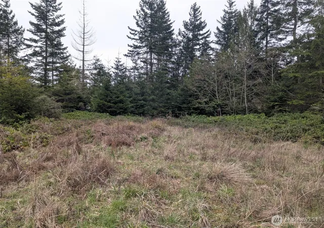 Photo 1 of Land for sale at 0 Critter Country Trl, Sequim, WA 98382 | MLS# NWM2504171 | Listing updated on 2026-09-21