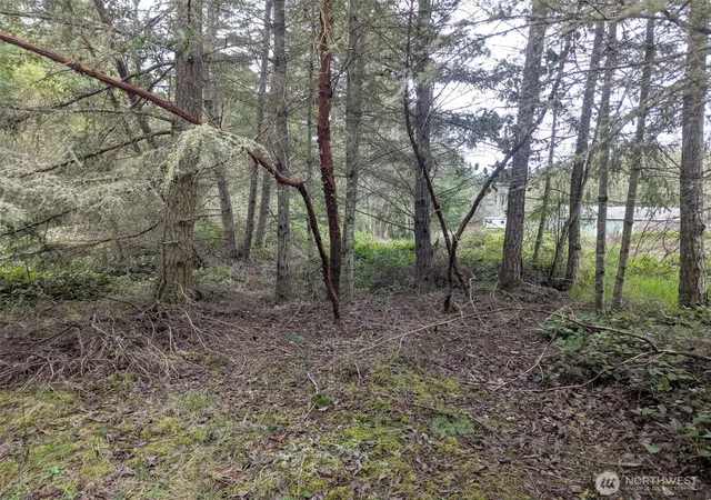 Photo 2 of Land for sale at 0 Critter Country Trl, Sequim, WA 98382 | MLS# NWM2504171 | Listing updated on 2026-09-21