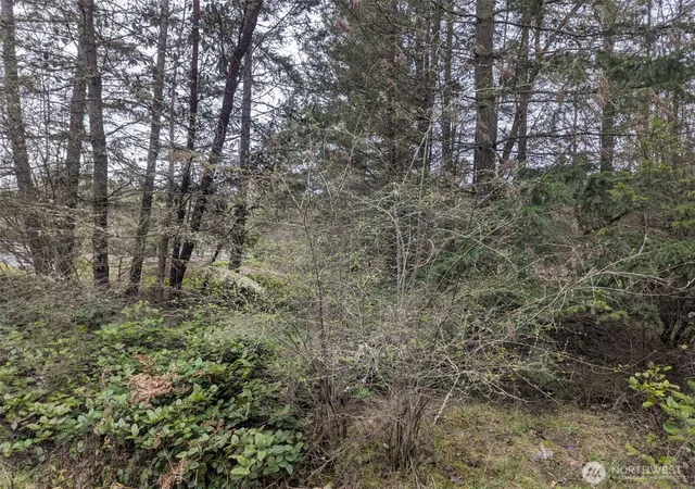 Photo 3 of Land for sale at 0 Critter Country Trl, Sequim, WA 98382 | MLS# NWM2504171 | Listing updated on 2026-09-21