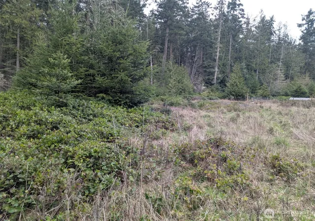 Photo 3 of Land for sale at 0 Critter Country Trl, Sequim, WA 98382 | MLS# NWM2504171 | Listing updated on 2026-09-21