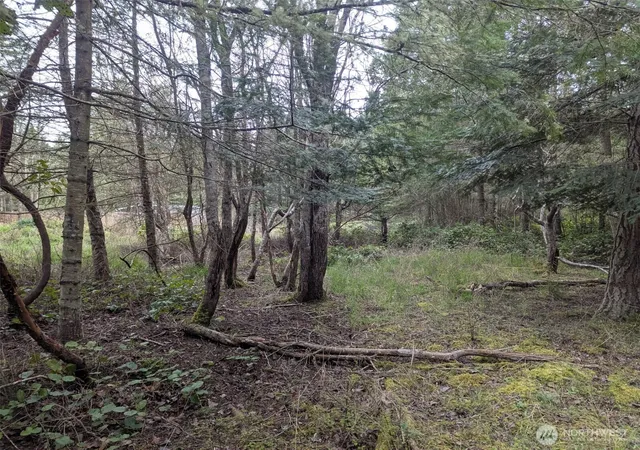 Photo 4 of Land for sale at 0 Critter Country Trl, Sequim, WA 98382 | MLS# NWM2504171 | Listing updated on 2026-09-21
