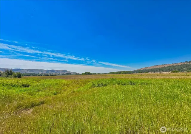 Photo 3 of Land for sale at 1111 Nna Hwy 155 Dr, Nespelem, WA 99155 | MLS# NWM2504289 | Listing updated on 2026-10-12