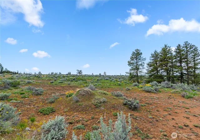 Photo 1 of Land for sale at 207 Falcon Ridge Rd, East Wenatchee, WA 98802 | MLS# NWM2504383 | Listing updated on 2026-09-21