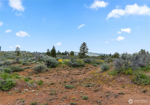 Photo 3 of Land for sale at 207 Falcon Ridge Rd, East Wenatchee, WA 98802 | MLS# NWM2504383 | Listing updated on 2026-09-21