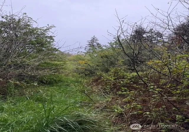 Photo 3 of Land for sale at 1 Nka 30th St, Port Townsend, WA 98368 | MLS# NWM2504407 | Listing updated on 2026-09-21