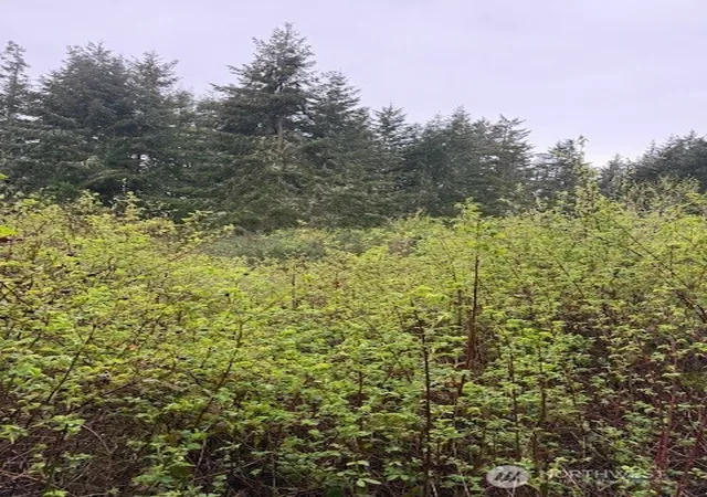 Photo 4 of Land for sale at 1 Nka 30th St, Port Townsend, WA 98368 | MLS# NWM2504407 | Listing updated on 2026-09-21