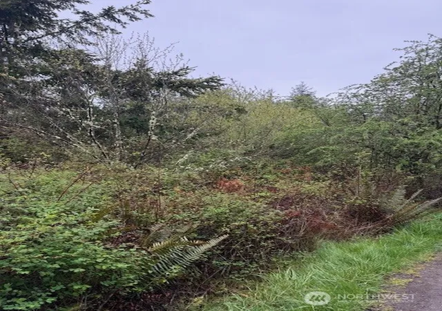 Photo 4 of Land for sale at 5 Nka 30th St, Port Townsend, WA 98368 | MLS# NWM2504418 | Listing updated on 2026-09-21