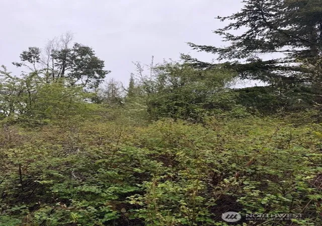 Photo 3 of Land for sale at 3 Nka Katherine St, Port Townsend, WA 98368 | MLS# NWM2504448 | Listing updated on 2026-09-21