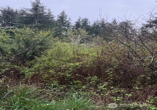 Photo 1 of Land for sale at 1 Nka Katherine St, Port Townsend, WA 98368 | MLS# NWM2504477 | Listing updated on 2026-09-21