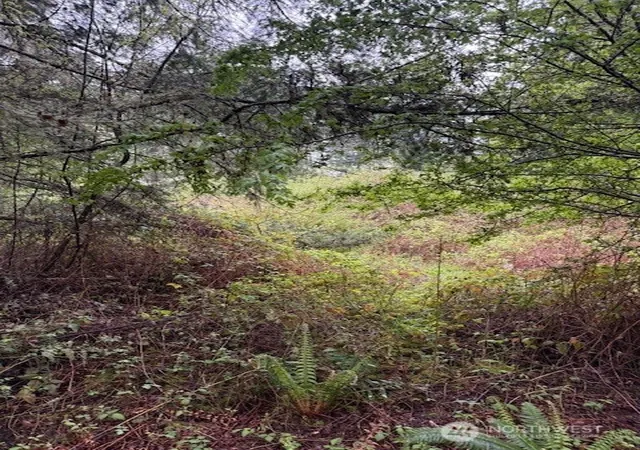 Photo 3 of Land for sale at 1 Nka Katherine St, Port Townsend, WA 98368 | MLS# NWM2504477 | Listing updated on 2026-09-21