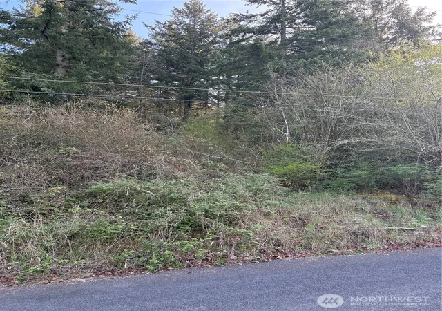 Photo 3 of Land for sale at 0 Ne Jefferson St, Chehalis, WA 98532 | MLS# NWM2504569 | Listing updated on 2026-09-21