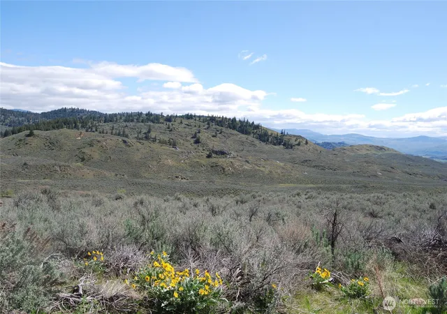 Photo 2 of Land for sale at 0 Lower White Rd, Tonasket, WA 98855 | MLS# NWM2504576 | Listing updated on 2026-09-21