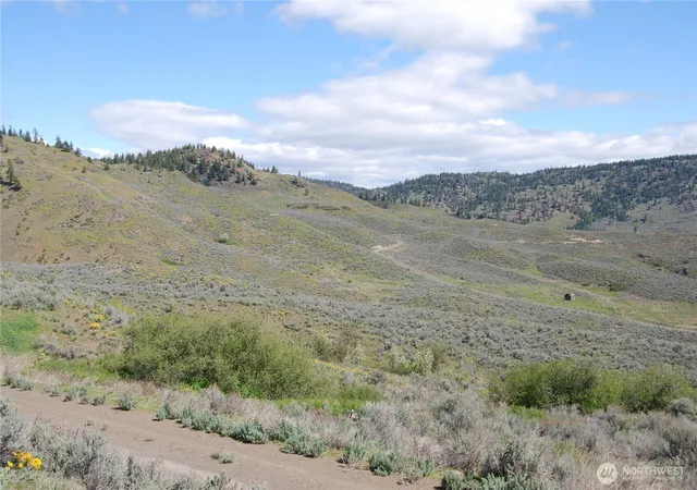 Photo 3 of Land for sale at 0 Lower White Rd, Tonasket, WA 98855 | MLS# NWM2504576 | Listing updated on 2026-09-21