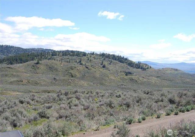 Photo 4 of Land for sale at 0 Lower White Rd, Tonasket, WA 98855 | MLS# NWM2504576 | Listing updated on 2026-09-21