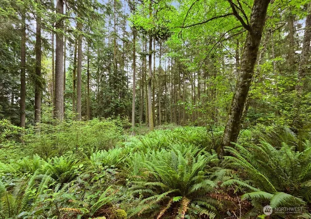 Photo 2 of Land for sale at 241 Belvedere Dr, Port Townsend, WA 98368 | MLS# NWM2504578 | Listing updated on 2026-09-21