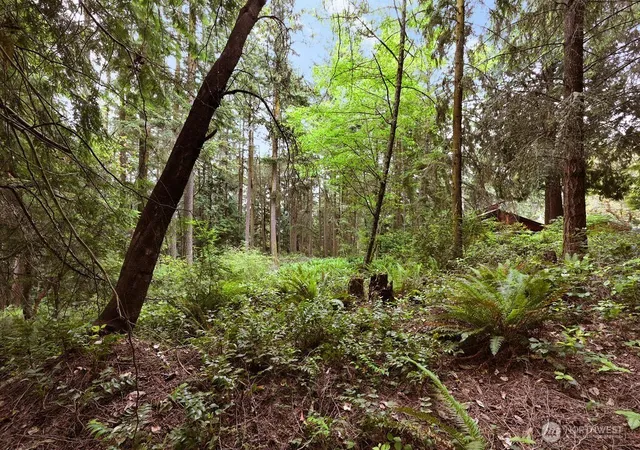 Photo 3 of Land for sale at 241 Belvedere Dr, Port Townsend, WA 98368 | MLS# NWM2504578 | Listing updated on 2026-09-21