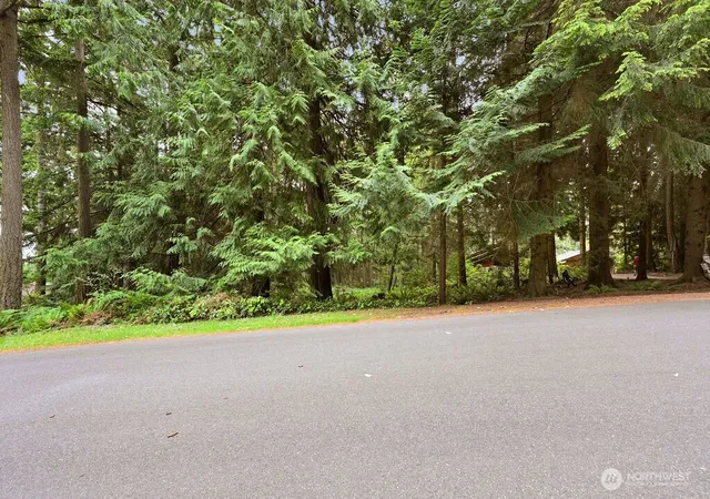 Photo 3 of Land for sale at 241 Belvedere Dr, Port Townsend, WA 98368 | MLS# NWM2504578 | Listing updated on 2026-09-21