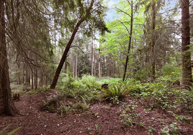 Photo 4 of Land for sale at 241 Belvedere Dr, Port Townsend, WA 98368 | MLS# NWM2504578 | Listing updated on 2026-09-21