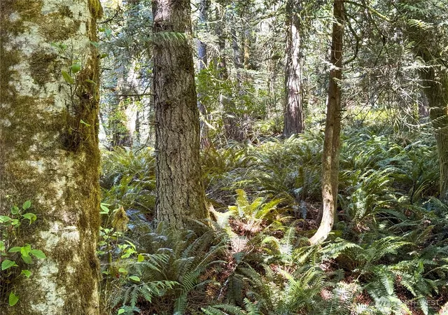 Photo 4 of Land for sale at 10 Th Ave To Forest Rock Ln NE, Poulsbo, WA 98370 | MLS# NWM2504635 | Listing updated on 2026-09-21