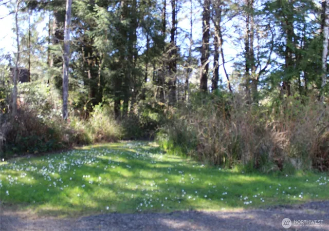 Photo 3 of Land for sale at 39 Dolphin Ln, Copalis Beach, WA 98535 | MLS# NWM2504897 | Listing updated on 2026-09-21