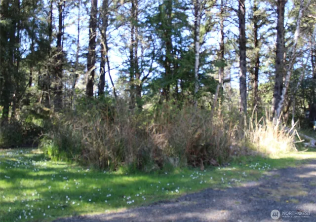 Photo 3 of Land for sale at 39 Dolphin Ln, Copalis Beach, WA 98535 | MLS# NWM2504897 | Listing updated on 2026-09-21