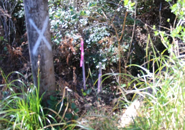 Photo 4 of Land for sale at 39 Dolphin Ln, Copalis Beach, WA 98535 | MLS# NWM2504897 | Listing updated on 2026-09-21