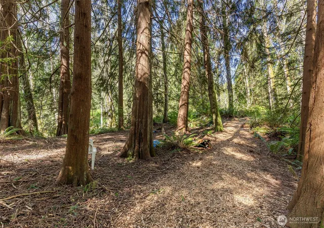 Photo 2 of Land for sale at 37060 Madrona Blvd Ne, Hansville, WA 98340 | MLS# NWM2504947 | Listing updated on 2026-09-21