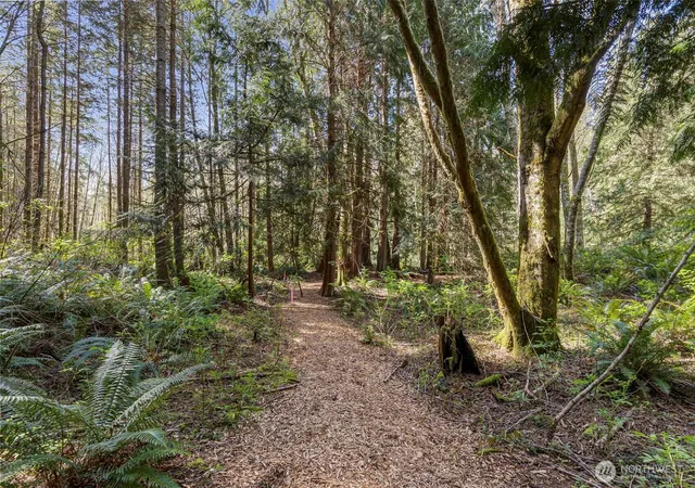 Photo 3 of Land for sale at 37060 Madrona Blvd Ne, Hansville, WA 98340 | MLS# NWM2504947 | Listing updated on 2026-09-21